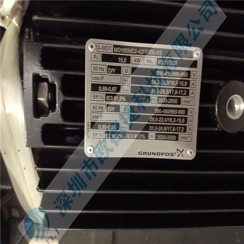 GRUNDFOS格蘭富 電機(jī)（單電機(jī)無泵）MG160MD2-42FF300-H3 (3)