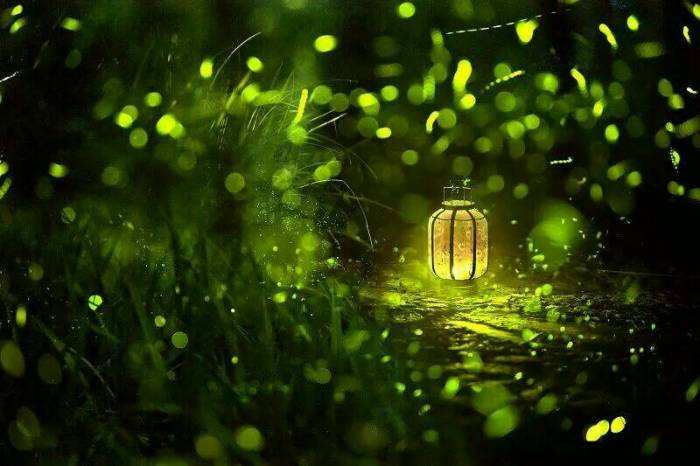 1568961660105346.jpg timg.jpg